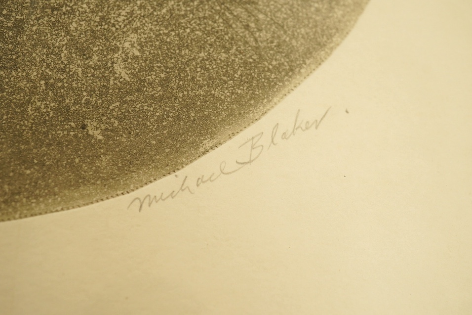 Michael Blaker (b.1928), monochrome etching, 'Diana', signed in pencil, limited edition, 5/30, 41 x 32cm. Condition - fair to good, some minor discolouration